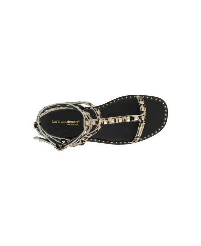 Les Tropeziennes - Coralie Leopard