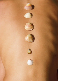 Alhaja Schmuck Kette Muschel