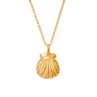 Alhaja Schmuck Kette Muschel Mare vergoldet 2