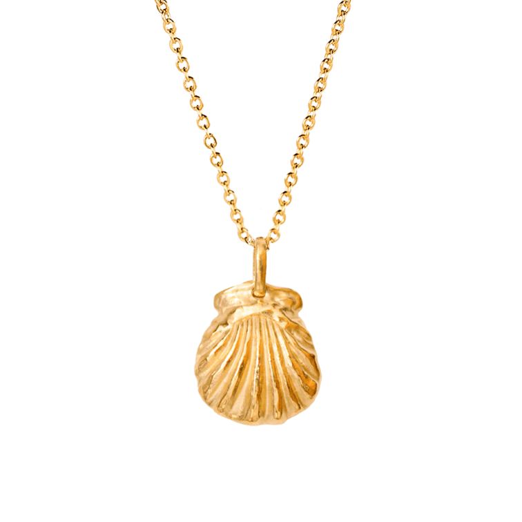 Alhaja Schmuck Kette Muschel Mare vergoldet 2